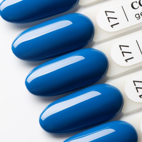 Couture Colour Northern Dreams № 177 благородний голубий