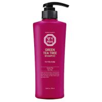 Shampoo for oily scalp Daeng Gi Meo Ri Green Tea Tree Shampoo 500 ml