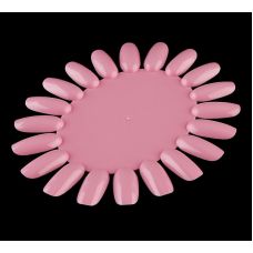  Палітра ромашка рожева