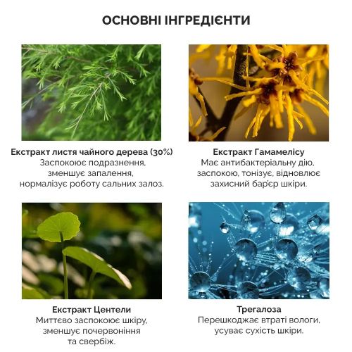 Гель-пінка для вмивання з екстрактом чайного дерева Dr. Ceuracle Tea Tree Purifine 30 Cleansing Foam, 150 мл