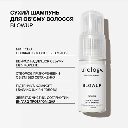 Сухий шампунь для об'єму волосся Blowup Triology 18г