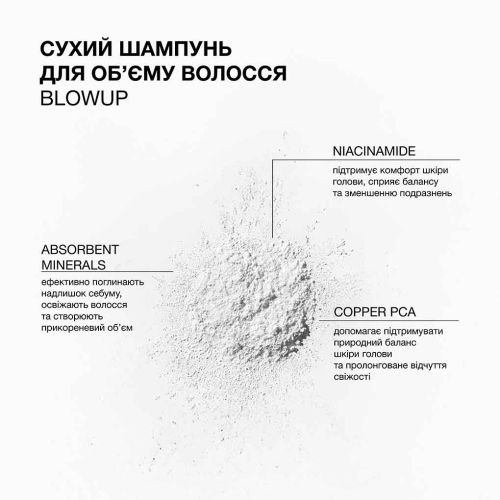 Сухий шампунь для об'єму волосся Blowup Triology 18г