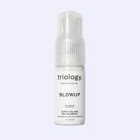 Сухий шампунь для об'єму волосся Blowup Triology 18г