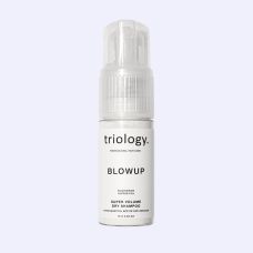 Сухий шампунь для об'єму волосся Blowup Triology 18г