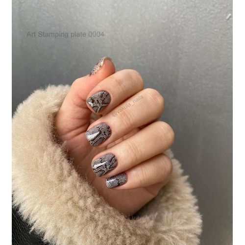 Пластина для стемпинга Vakula 04